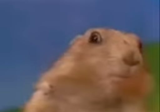 First Vine Meme Mini Moni 