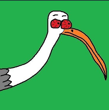 STORK