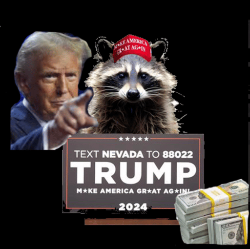 TRUMP'S OFFICIAL RACCON