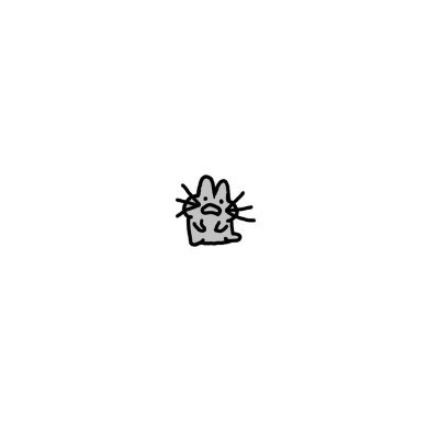 cat the cat