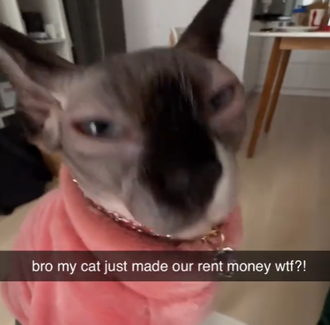 made our rent money