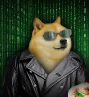 Doge pilled