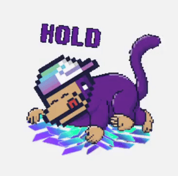 Monkey Holds Solana