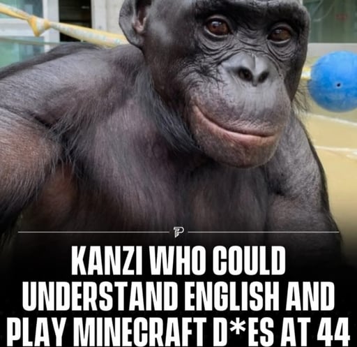 kanzi