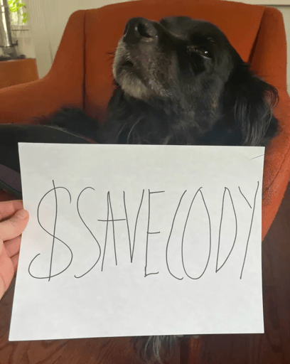 Live save my dog cody