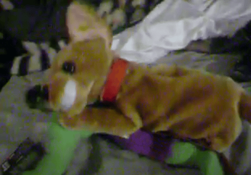 The OG First Ever DOGE 