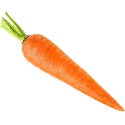 Literally a Carrot
