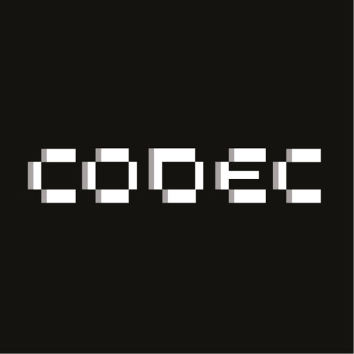 Codec Flow