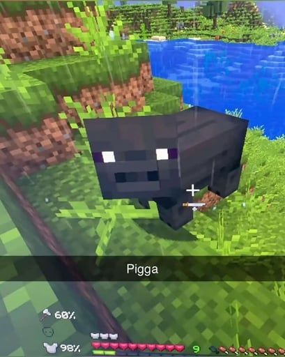 Pigga