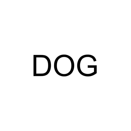 The Word Dog