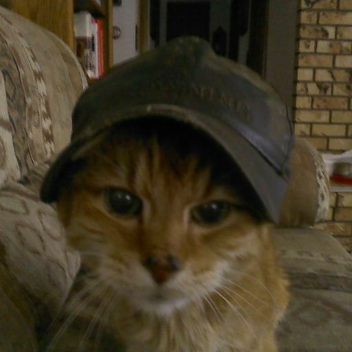 CAT INA HAT 