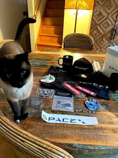 SPACEX CAT