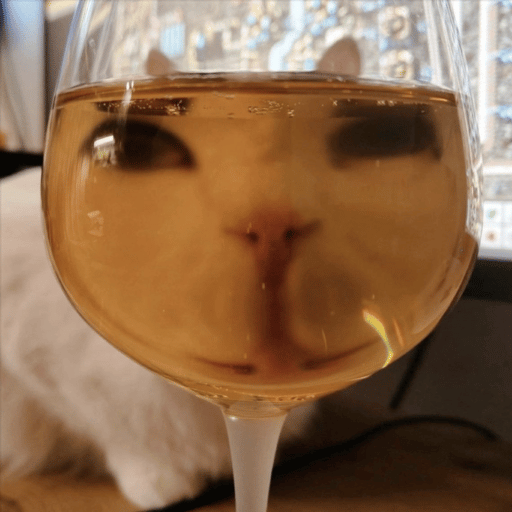 cat behind wine glass
