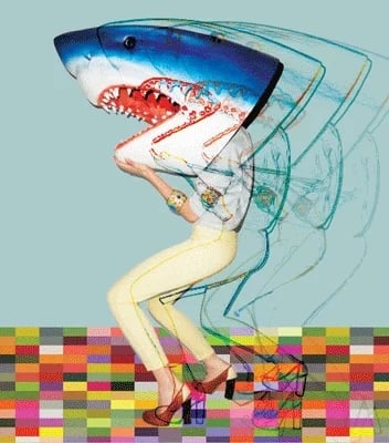 Shark