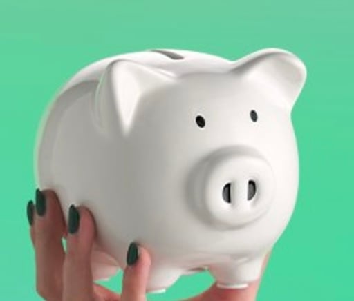 BAKKT OFFICIAL MASCOT