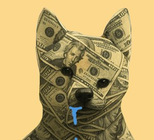 dumb money