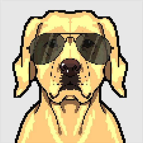 The Crypto Dog