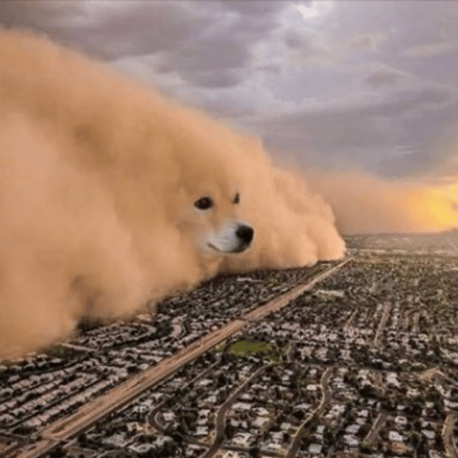 DOGE STORM