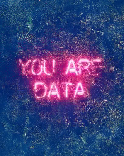 YOU ARE DATA