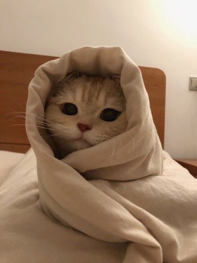 Good Morning!