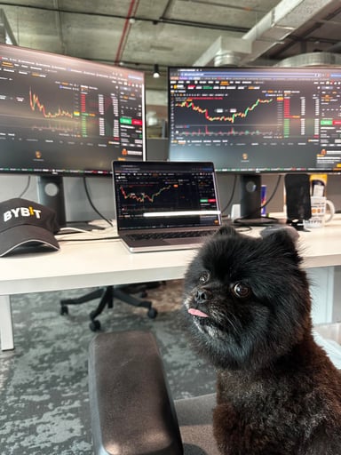 Bybit Dog