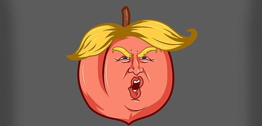 Impeach Trump Again