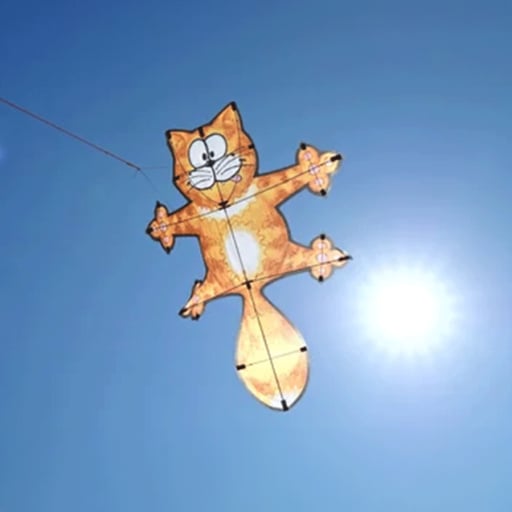 Kite Cat
