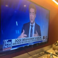 Doge Derangement Syndrome