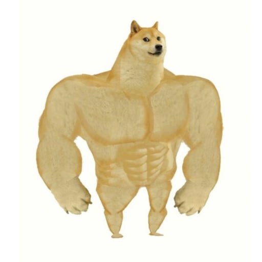SWOLE DOGE