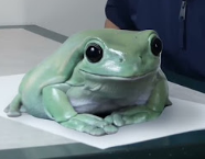 Giant Frog Dumpy