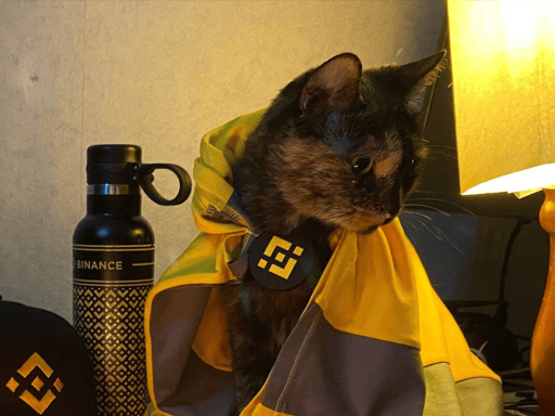 Binance cat