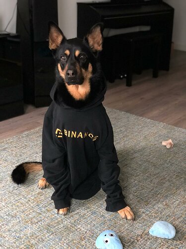 CZ DOG NAME