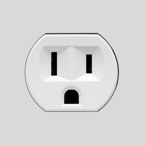 PLUG