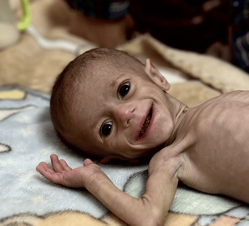 FEED GAZA