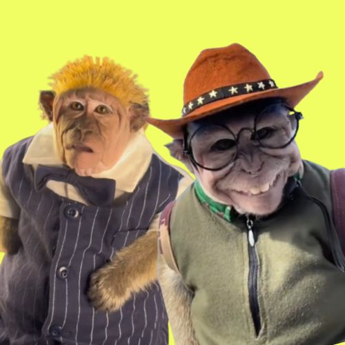 aby monkey