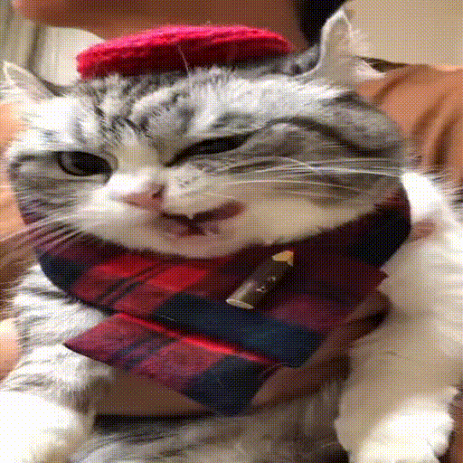 purr