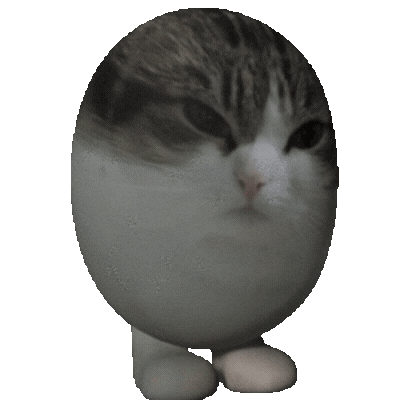 EGG CAT 