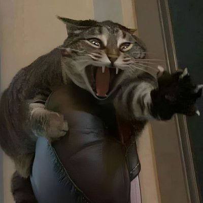 Gib Cat
