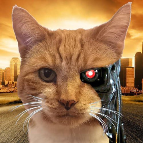 PUSSINATOR