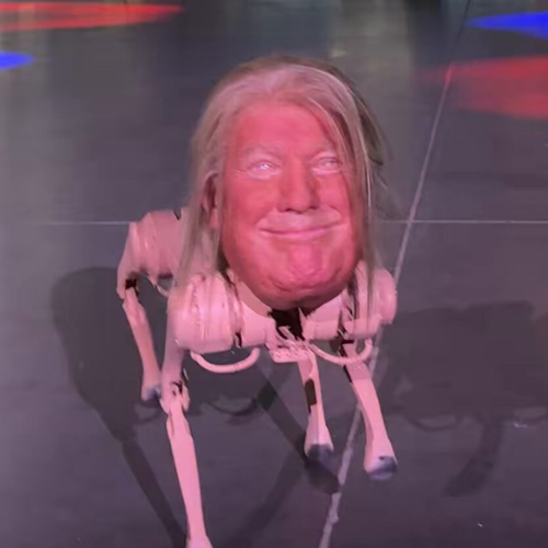 Dog of the United States