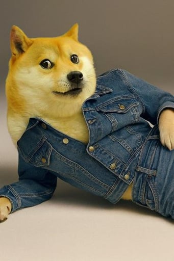 Sweeney Doge