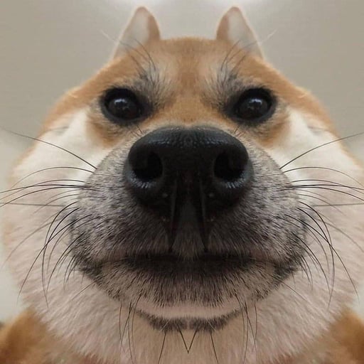 dod