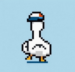 Vibe Duck
