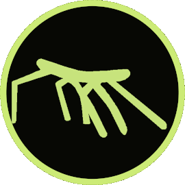 stickbug