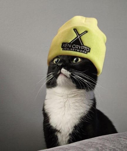 SolXenCat