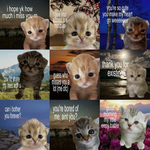 Love Core Cats