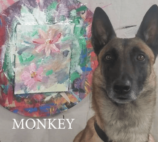 Dog Picasso