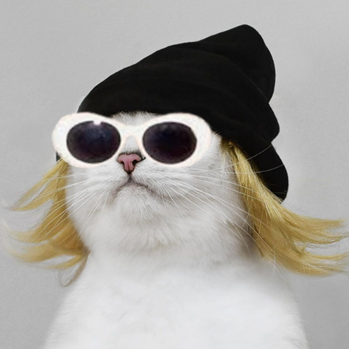 Cat Cobain