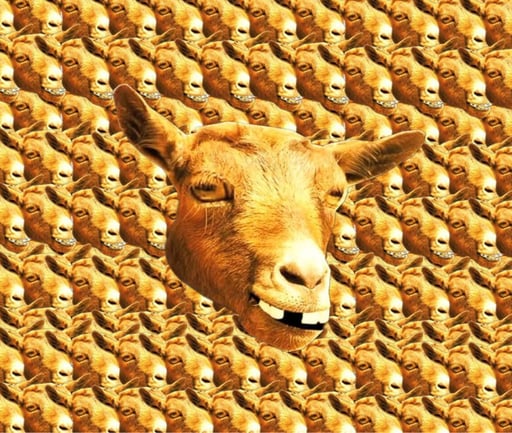 Felicia The Goat