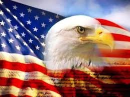 american bird 